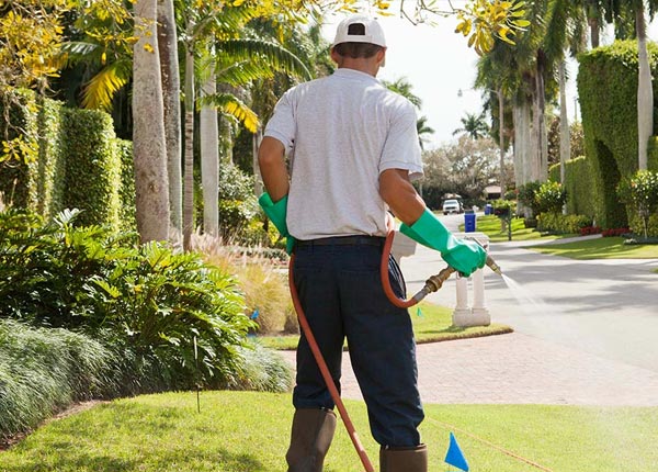 About Higley AZ Pest Control Pros